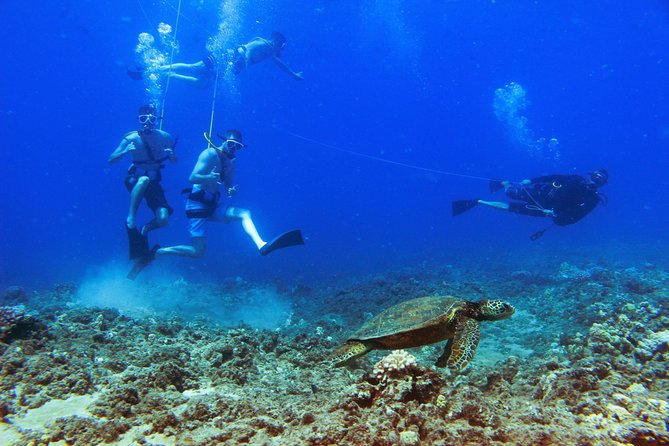 Ko Olina Catamaran Sail and Snorkel with Lunch - Timing options: morning vs afternoon sails