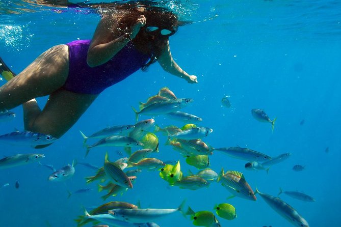 Ko Olina Catamaran Sail and Snorkel with Lunch - Getting there: Ko Olina is convenient, and Waikiki pickup is an upgrade