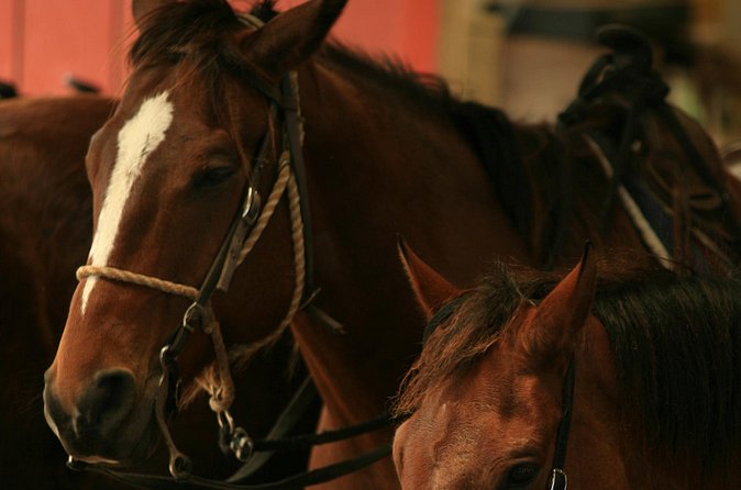 Kualoa Ranch - Horseback Walking Tour - What’s included (and where the extra cost sneaks in)