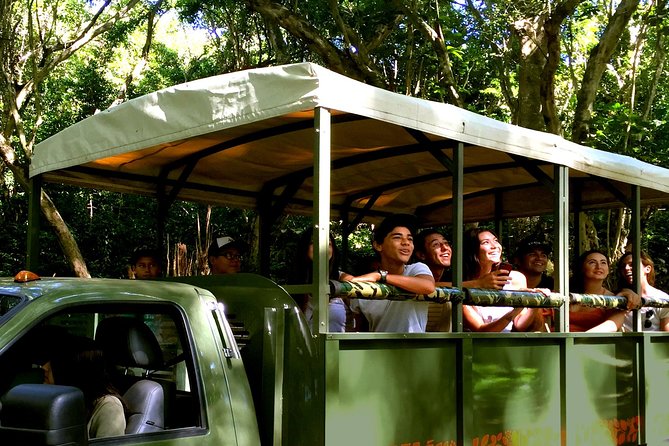 Kualoa Ranch: Jungle Expedition Tour - Kualoa Ranch Jungle Expedition: why the ride feels special