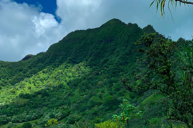 Kualoa Ranch: Jungle Expedition Tour - Price and value: is $67.24 worth it