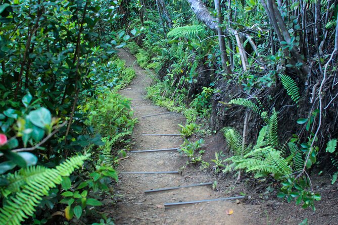 Kualoa Ranch: Jungle Expedition Tour - Getting there, timing, and quick logistics that matter