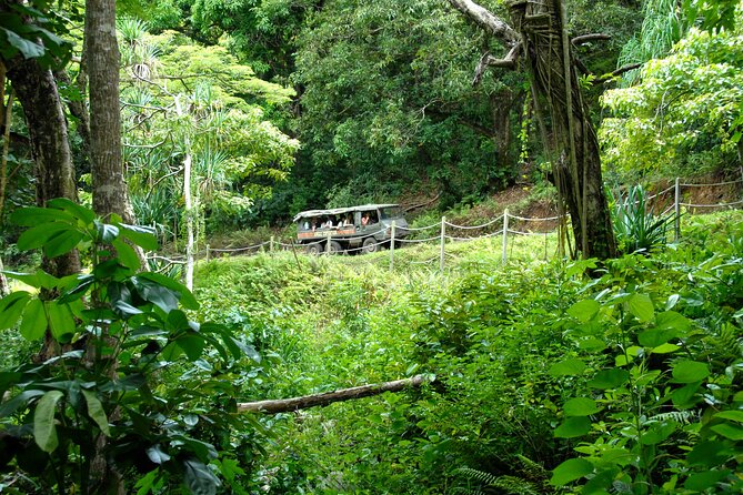 Kualoa Ranch: Jungle Expedition Tour - Your 1.5-hour route across Kualoa’s working land