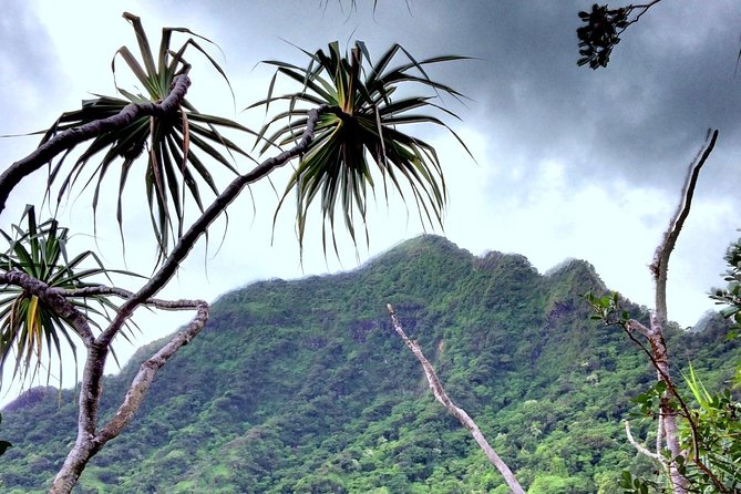 Kualoa Ranch: Novice E-Bike - Safety Briefing and the Test Ride: How Beginners Are Handled