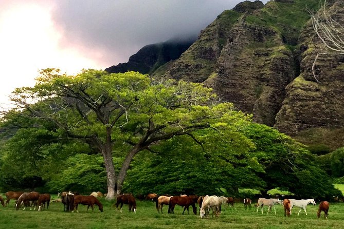 Kualoa Ranch: Novice E-Bike - Movie and WWII Connections Without Feeling Like a Classroom