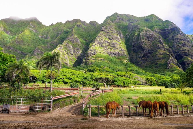 Kualoa Ranch: Ocean Voyage Tour - Key things I’d plan around