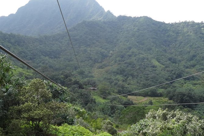 Kualoa Ranch - Zipline Tour - Suspension bridges and forest streams: the scenery moments you’ll remember