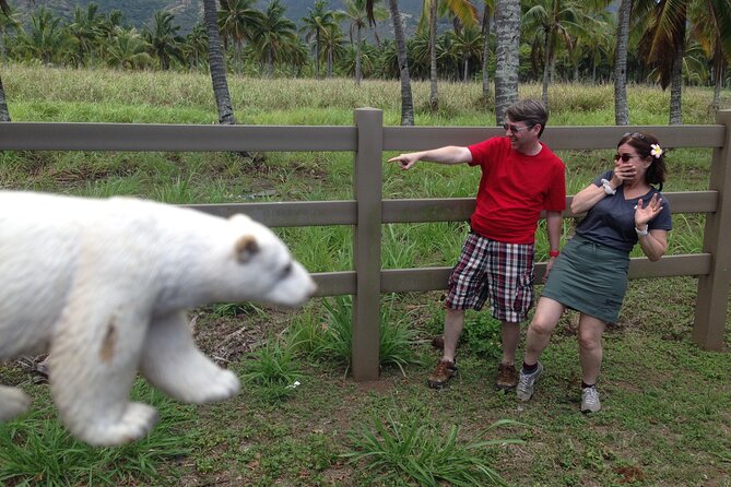 'Lost' and Movie Tour - What the Guides Do That Actually Changes the Day