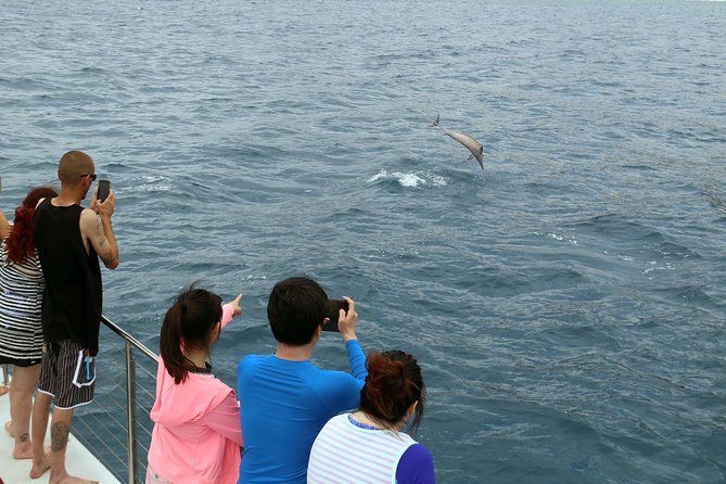 Luxury Snorkel Cruise, Local Buffet with Whale & Dolphin Watch - The snorkel stop: what guided time in the water feels like