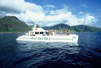 Luxury Snorkel Cruise, Local Buffet with Whale & Dolphin Watch - Wildlife viewing north of Ko Olina: the stops that matter