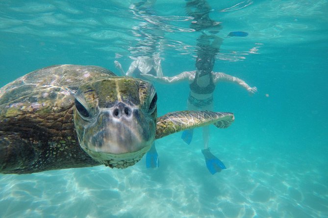 Mahina Hawaii Full Day Adventure - The real value behind the price