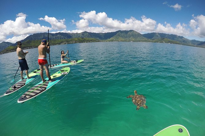 Mahina Hawaii Full Day Adventure - A full-day route through Oahu’s best coast, trails, and viewpoints
