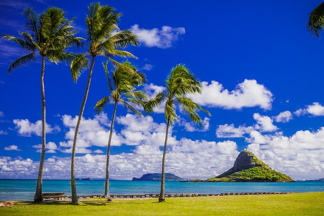 Majestic Circle Island Tour with Lunch - The Dole Plantation Finale: Haleiwa Fields and DoleWhip Optional