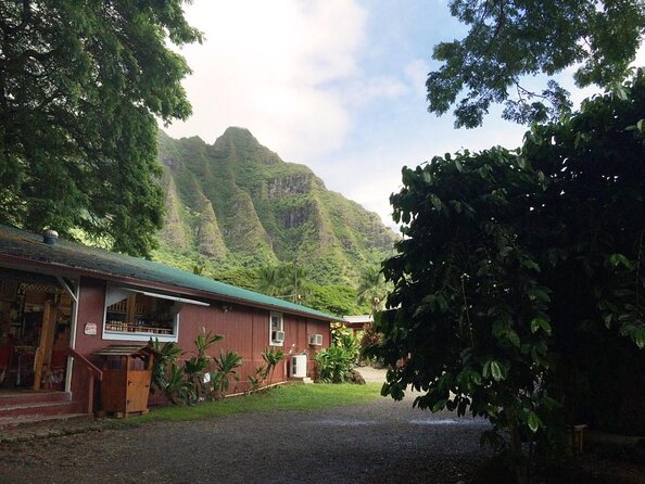 Majestic Circle Island Tour with Lunch - Nu’uanu Pali: Kamehameha Story + Big Lookout Time