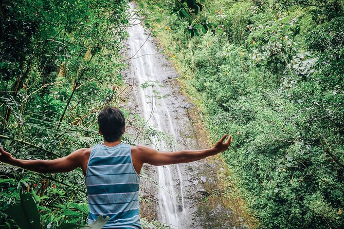 Manoa Waterfall Hike with Waikiki Pickup & Healthy Lunch - Manoa Falls at the 150-foot base: photos, calm, and the “rain may change it” factor