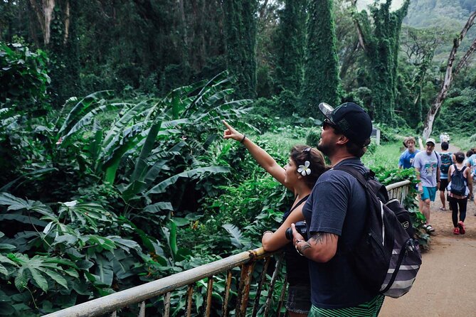Manoa Waterfall Hike with Waikiki Pickup & Healthy Lunch - How hard is it, really? Shoes, steep bits, and weather logic