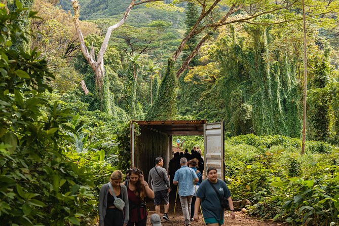 Manoa Waterfall Hike with Waikiki Pickup & Healthy Lunch - Is this worth $107.10 compared to going on your own?