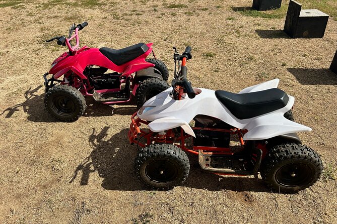 Mini ATVs and Farm Animal Experience - Key things you’ll notice right away