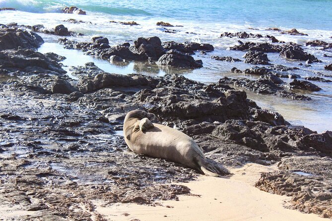 Mokulua Islands Self-Guided Kayak Adventure - Mokulua Islands: a nesting sanctuary you can walk (and swim) around
