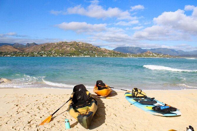 Mokulua Islands Self-Guided Kayak Adventure - Wildlife spotting tips that actually help