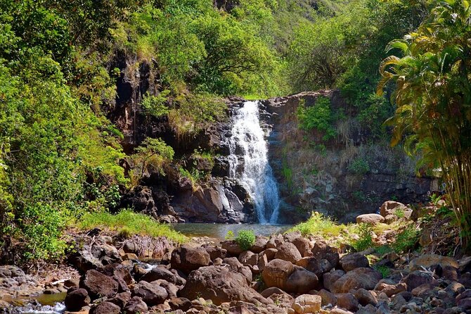 Next Level Oahu Circle Island Tour Snorkel w/Turtles and Byodo-In - Key highlights worth your attention