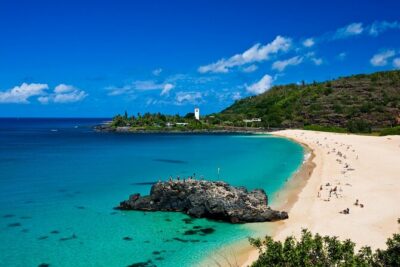 North Shore Adventure Shuttle - Shark’s Cove Lunchtime + Snorkeling Time That Actually Feels Like a Break