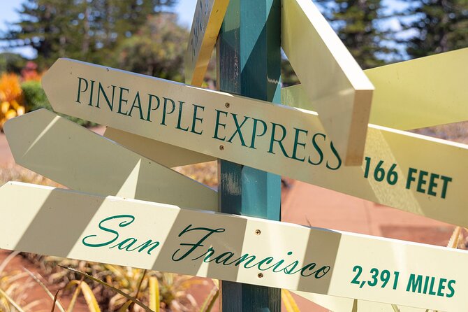 North Shore Haleiwa & Dole Plantation Tour - Price and Value: What You Pay for, and What You’ll Pay Extra