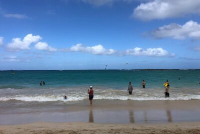 North Shore / Waimea, Falls Day & Swim with Turtles - 9:00 am pickup and a “no waiting” approach in Honolulu