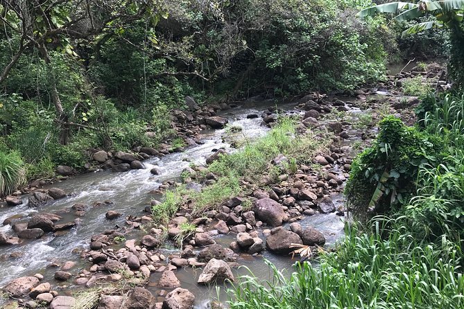 North Shore / Waimea, Falls Day & Swim with Turtles - Price and value: what the $150 covers, and what you should add