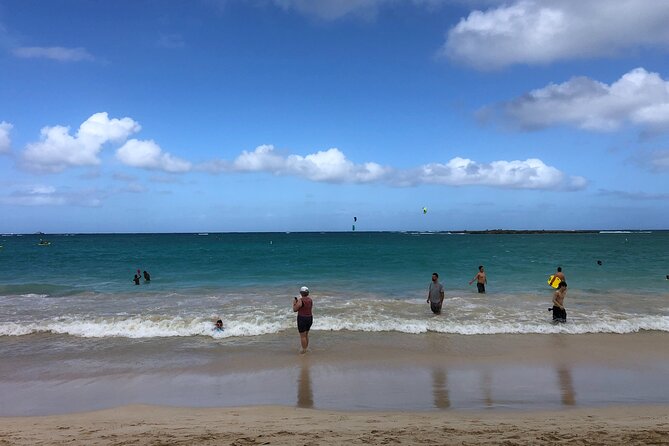 North Shore / Waimea, Falls Day & Swim with Turtles - 9:00 am pickup and a “no waiting” approach in Honolulu