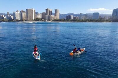 Oahu 5-in-1 Deluxe Cruise: Turtle Snorkeling & Ocean Activities - The 5-in-1 Water Playground: Slide, Trampoline, Platform Jump, Kayaks, Paddleboards