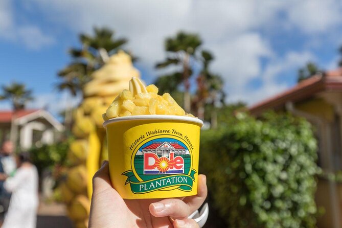 Oahu Allstar Circle Island Tour: Dole, Turtles, Blowhole, Fun - Key Highlights You’ll Actually Care About