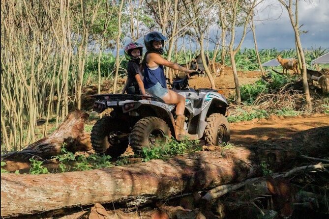 Oahu Beachfront ATV Adventure and Farm Tour - The farm side: animals, soil, and what Korean Natural Pig Farming means here