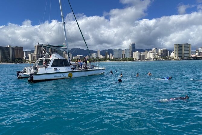 Oahu Catamaran Snorkel Tour: See Turtles 100% Guaranteed - Waikiki catamaran logistics: where you meet and why it matters