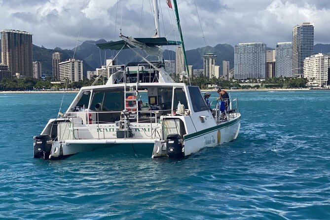 Oahu Catamaran Snorkel Tour: See Turtles 100% Guaranteed - More than turtles: dolphins, whales, and the fun wildlife bonus