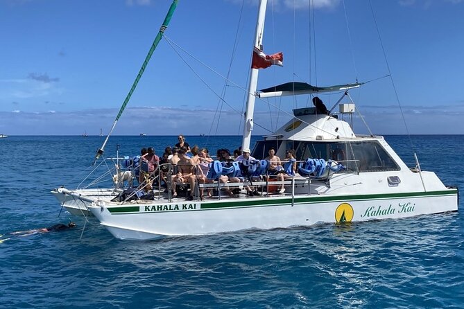 Oahu Catamaran Snorkel Tour: See Turtles 100% Guaranteed - Guides you’ll remember: names, roles, and what they do best
