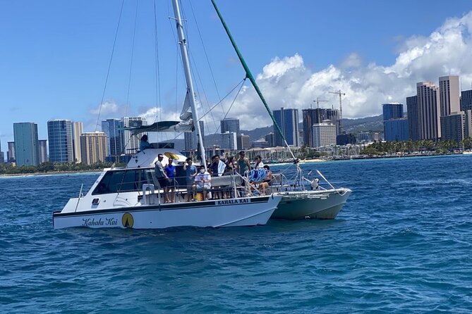 Oahu Catamaran Snorkel Tour: See Turtles 100% Guaranteed - Value for $49.95: what you’re really paying for