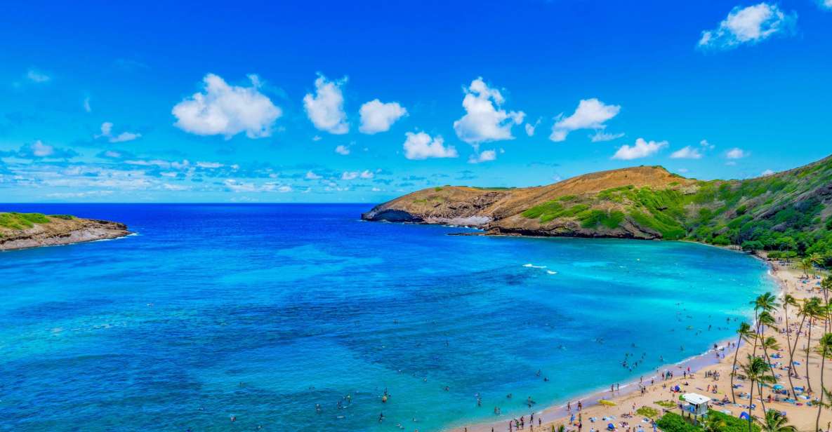 Oahu: Circle Island Top Sights Full-Day Tour w/ Local Guide - Leaving Waikiki early: pickup, comfort, and why this tour works