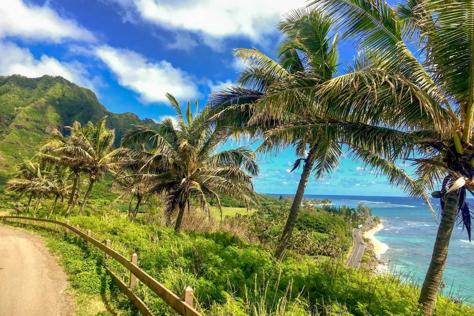 Oahu: Circle Island Top Sights Full-Day Tour w/ Local Guide - Dole Plantation: Dole Whip, souvenirs, and how to make time for it