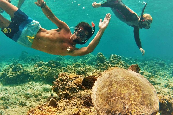 Oahu Circle Island Tour with Turtle Snorkeling— Small-Groups - Diamond Head, Halona Blowhole, and Makapuʻu: Oahu’s Classic Wow Stops