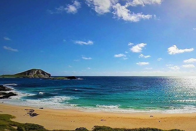 Oahu Circle Island Tour with Turtle Snorkeling— Small-Groups - Macadamia Farm and Kualoa Point: Hands-On Food Stops with Island Story