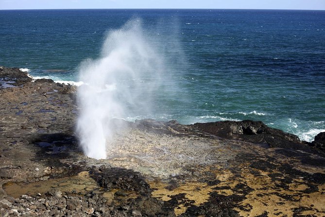 Oahu Circle Island Tour with Waimea Waterfall - Sunset Beach, Pipeline Area, and Sharks Cove Views