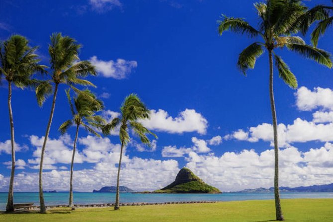 Oahu Circle Island Tour with Waimea Waterfall - Waimea Valley and the Waterfall Swim: The Best Payoff, With a Real Walk