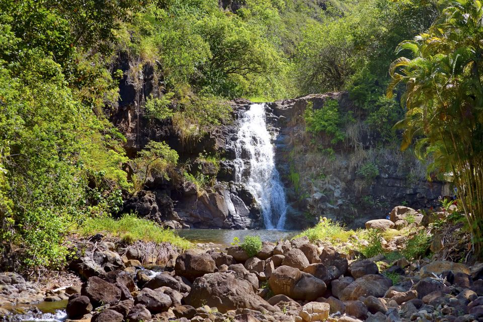 Oahu: Complete Island Tour with Tropical Waterfall Swimming - Kahuku Food Trucks for Lunch: Where the Island Tastes Like It Lives There