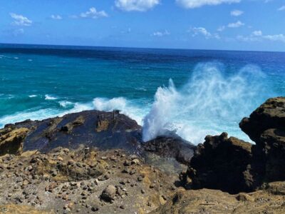 Oahu: Diamond Head Crater Hike and North Shore Experience - Pickup and the Van Day Rhythm (Waikiki to Waialae–Kahala)