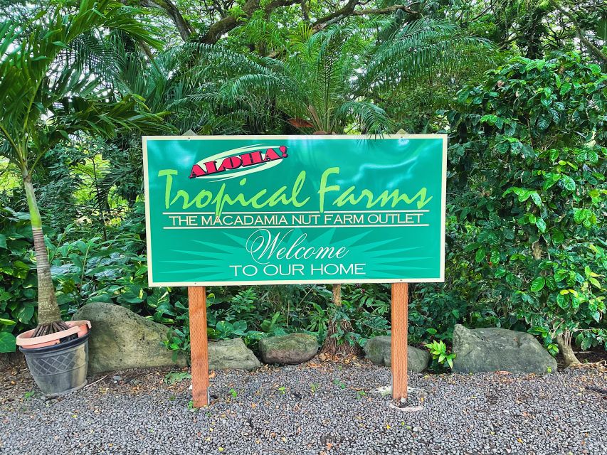 Oahu: Diamond Head Crater Hike and North Shore Experience - Kahuku Sugar Mill Food Trucks: Where You’ll Actually Eat Like a Local