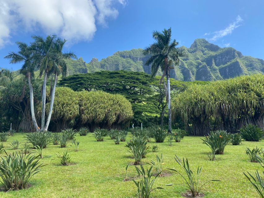 Oahu: Diamond Head Crater Hike and North Shore Experience - Dole Plantation: Pineapple Garden Time, Dole Whip, and What You Skip