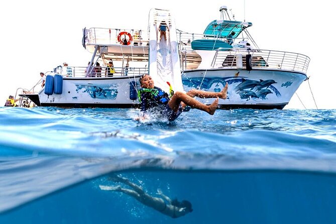 Oahu Dolphin and Snorkel Tour with Waikiki Pickup & Lunch - West Oahu morning cruise: dolphins, turtles, and a boat that stays fun