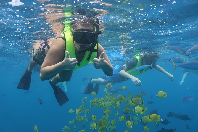 Oahu Dolphin and Snorkel Tour with Waikiki Pickup & Lunch - Onboard setup: snorkel gear, life jackets, and the 20-foot slide