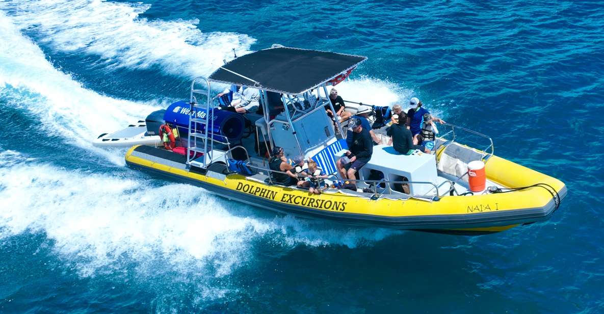 Oahu: Dolphin Swim and Turtle Snorkel Excursion in Waianae - Safety briefing first: why it matters for dolphins and snorkels